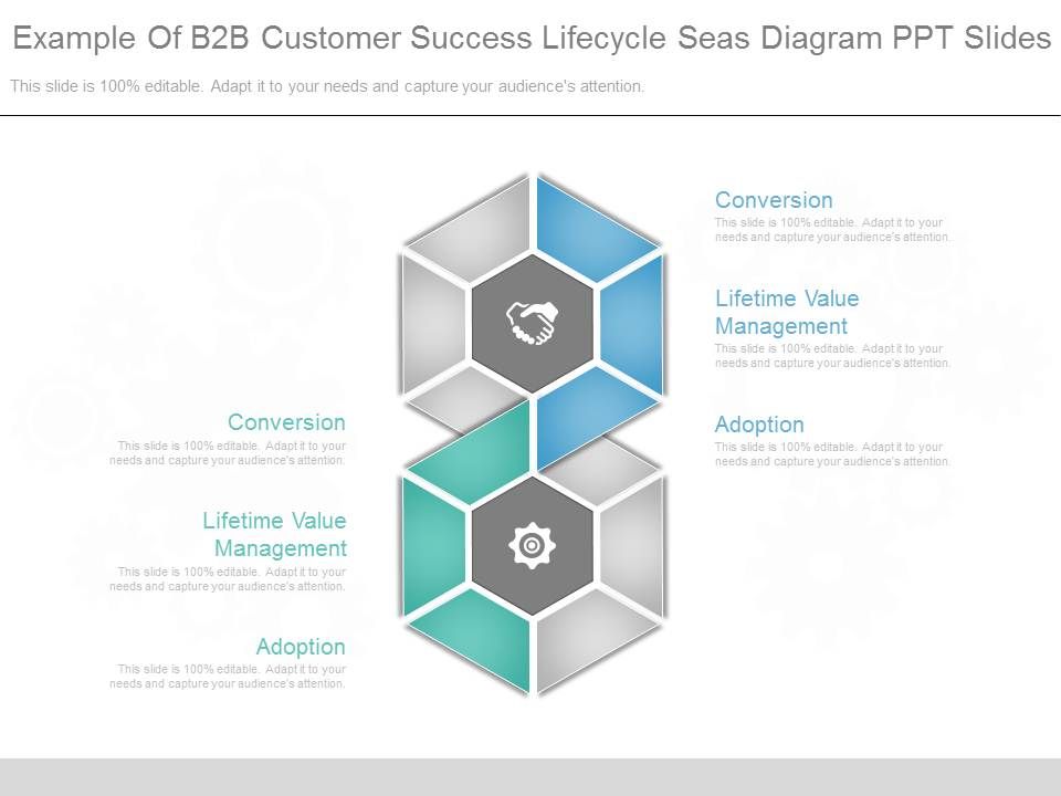 Example_Of_B2b_Customer_Success_Lifecycle_Seas_Diagram_Ppt_Slides_1.jpg