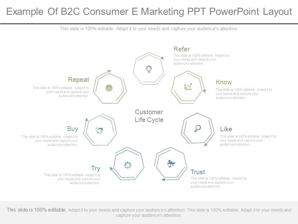 Example_Of_B2c_Consumer_E_Marketing_Ppt_Powerpoint_Layout_1.jpg