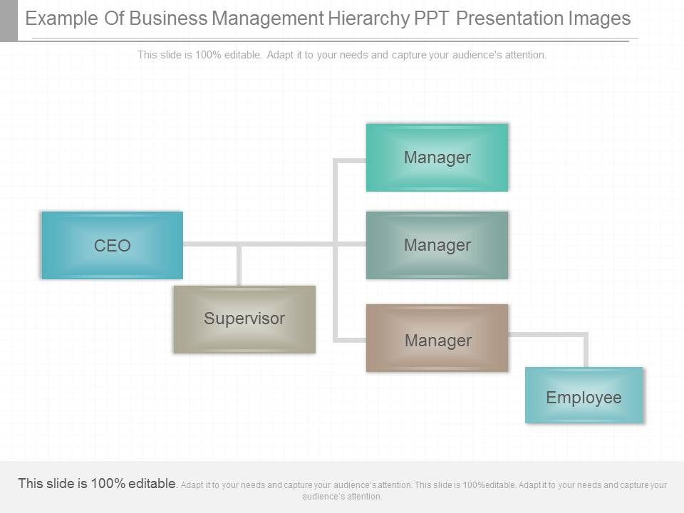 Example_Of_Business_Management_Hierarchy_Ppt_Presentation_Images_1.jpg