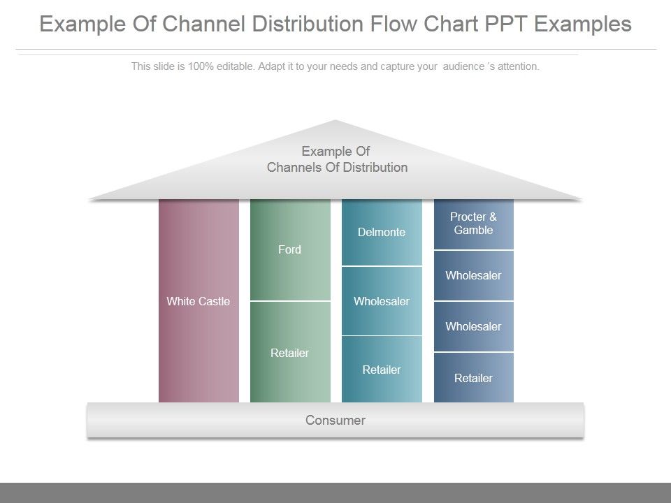 Example_Of_Channel_Distribution_Flow_Chart_Ppt_Examples_Slide_1.jpg