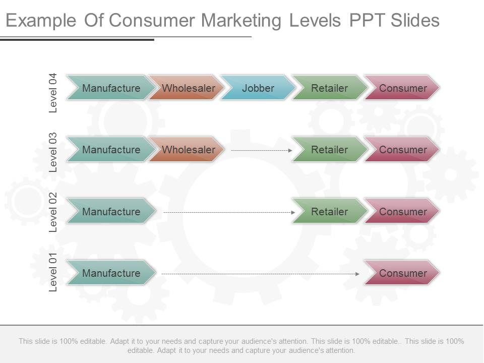 Example_Of_Consumer_Marketing_Levels_Ppt_Slides_1.jpg