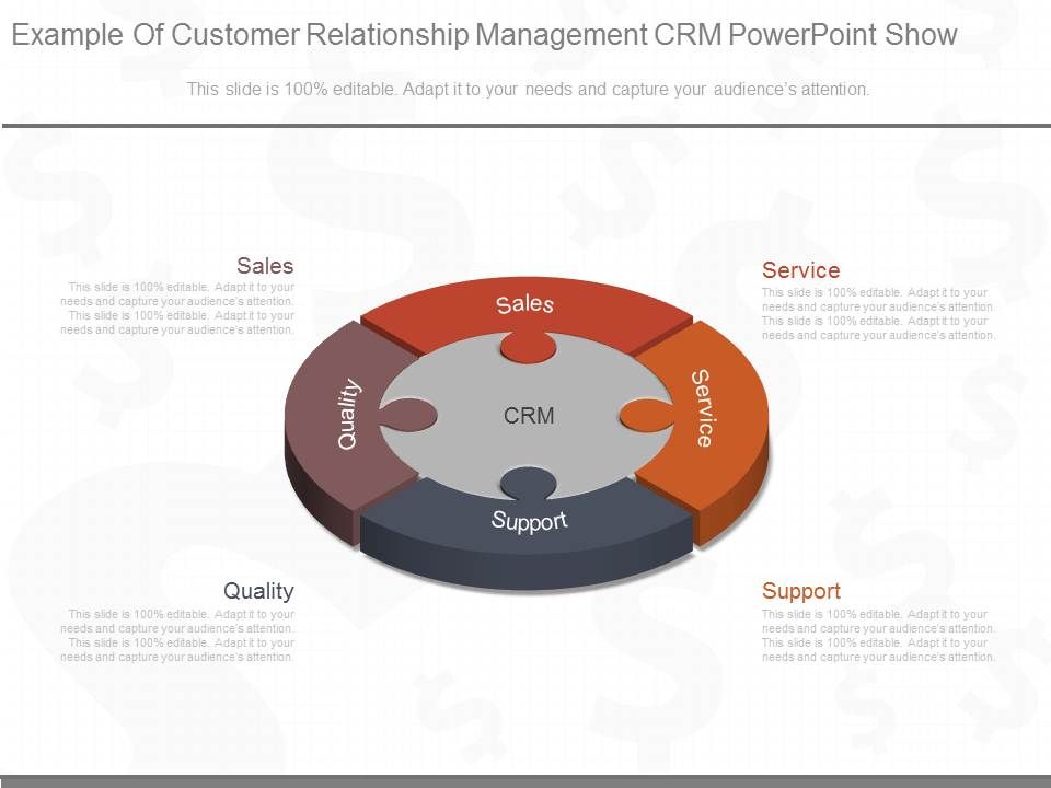Example_Of_Customer_Relationship_Management_Crm_Powerpoint_Show_1.jpg
