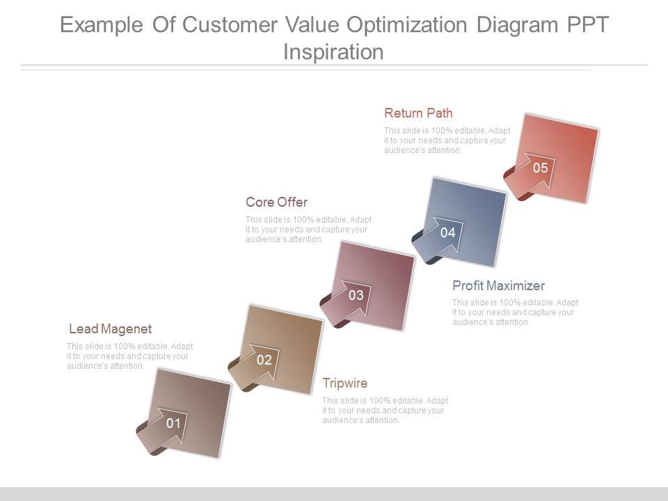 Example_Of_Customer_Value_Optimization_Diagram_Ppt_Inspiration_1.jpg