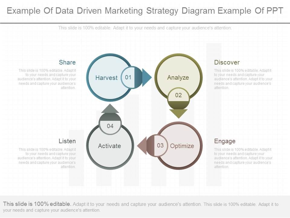 Example_Of_Data_Driven_Marketing_Strategy_Diagram_Example_Of_Ppt_1.jpg
