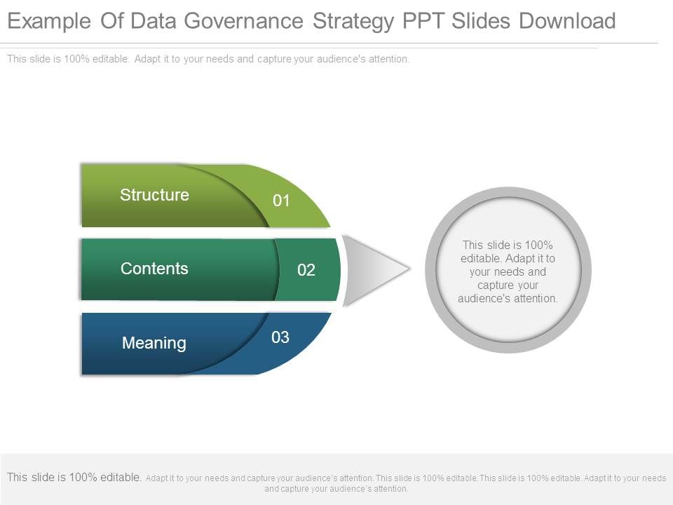 Example_Of_Data_Governance_Strategy_Ppt_Slides_Download_1.jpg