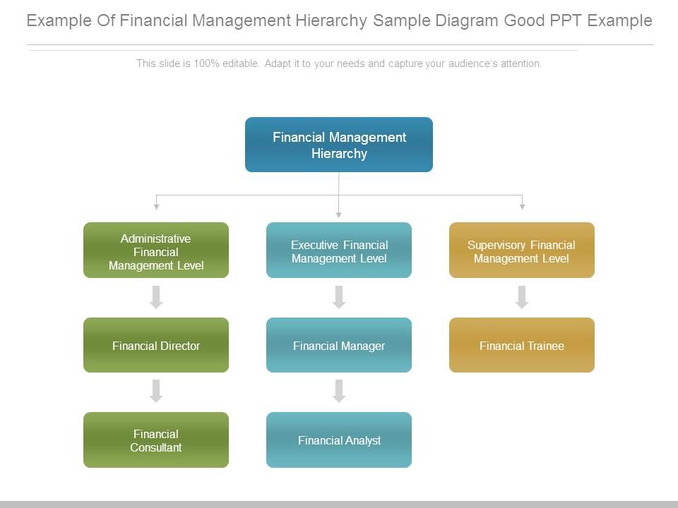 Example_Of_Financial_Management_Hierarchy_Sample_Diagram_Good_Ppt_Example_1.jpg
