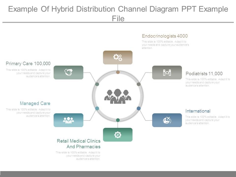 Example_Of_Hybrid_Distribution_Channel_Diagram_Ppt_Example_File_1.jpg