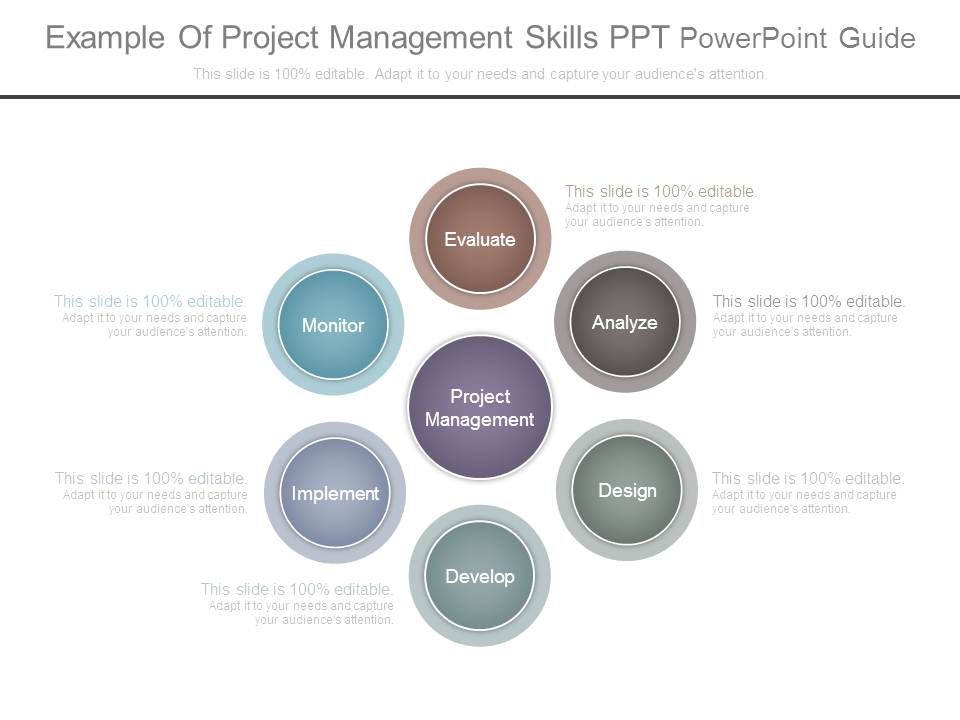 Example_Of_Project_Management_Skills_Ppt_Powerpoint_Guide_1.jpg