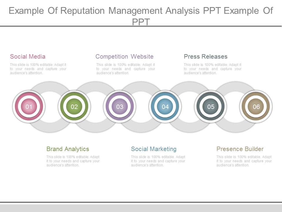 Example_Of_Reputation_Management_Analysis_Ppt_Example_Of_Ppt_1.jpg