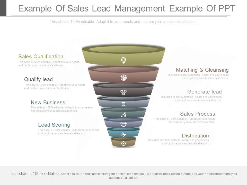 Example_Of_Sales_Lead_Management_Example_Of_Ppt_1.jpg