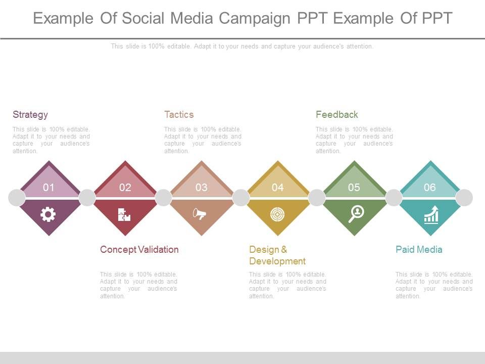 Example_Of_Social_Media_Campaign_Ppt_Example_Of_Ppt_1.jpg