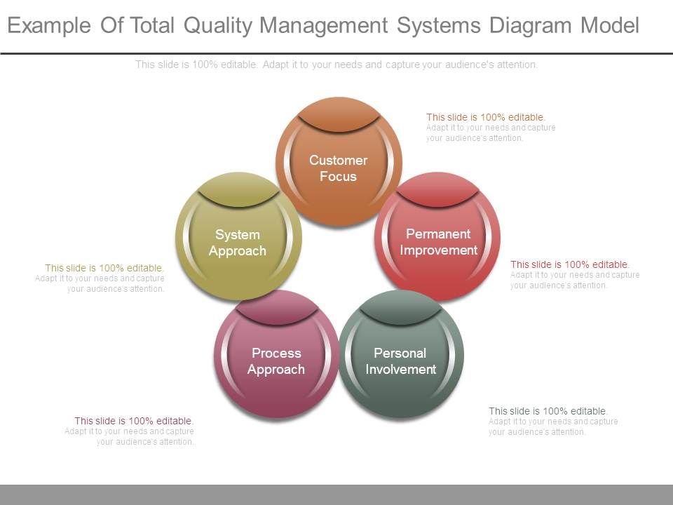Example_Of_Total_Quality_Management_Systems_Diagram_Model_1.jpg