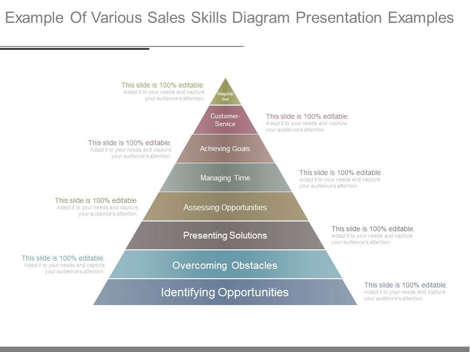 Example_Of_Various_Sales_Skills_Diagram_Presentation_Examples_1.jpg