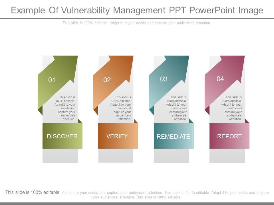 Example_Of_Vulnerability_Management_Ppt_Powerpoint_Image_1.jpg