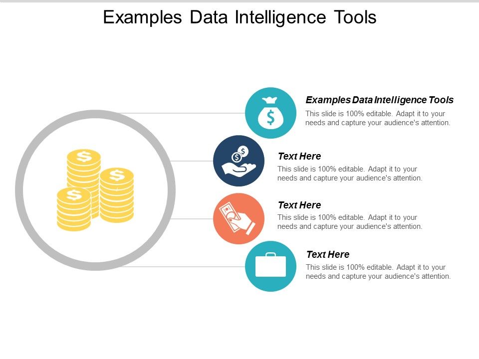 Examples_Data_Intelligence_Tools_Ppt_PowerPoint_Presentation_Gallery_Styles_Cpb_Slide_1.jpg