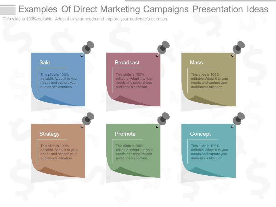 Examples_Of_Direct_Marketing_Campaigns_Presentation_Ideas_1.jpg