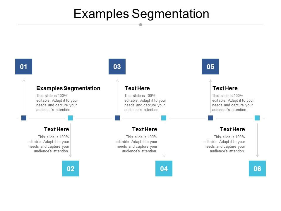 Examples_Segmentation_Ppt_PowerPoint_Presentation_Summary_Model_Cpb_Slide_1.jpg