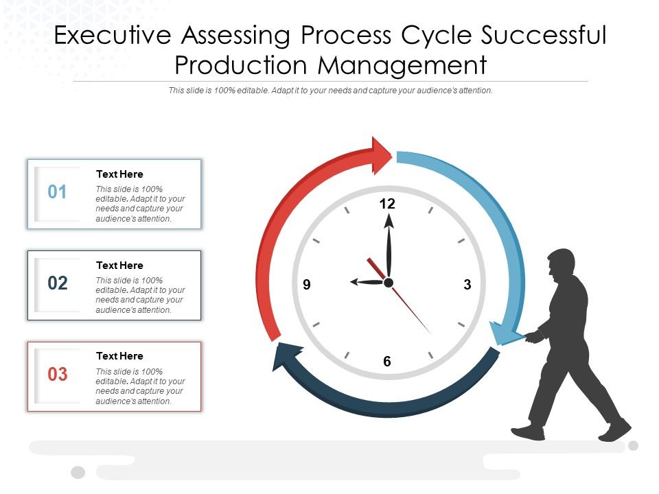 Executive_Assessing_Process_Cycle_Successful_Production_Management_Ppt_PowerPoint_Presentation_Infographic_Template_Brochure_PDF_Slide_1.jpg