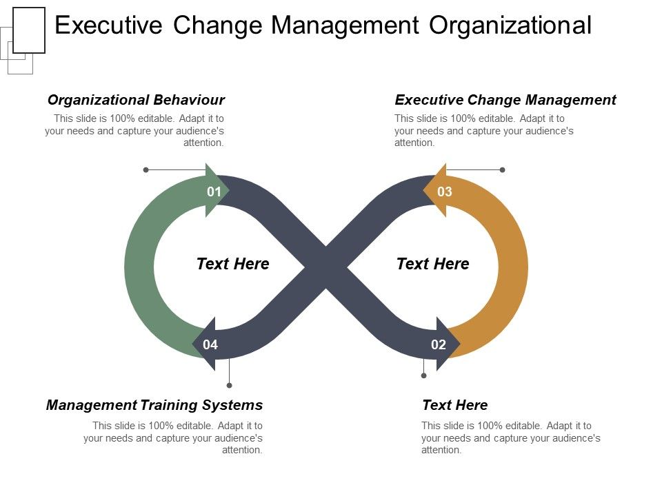 Executive_Change_Management_Organizational_Behaviour_Management_Training_Systems_Ppt_PowerPoint_Presentation_Slides_Format_Ideas_Slide_1.jpg