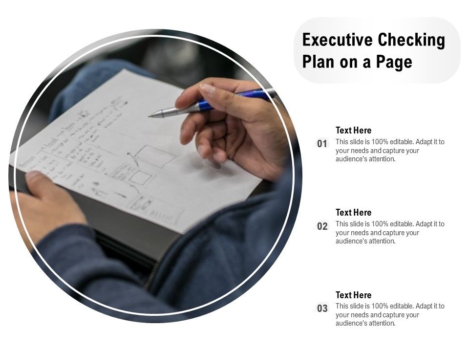 Executive_Checking_Plan_On_A_Page_Ppt_PowerPoint_Presentation_Gallery_Guide_PDF_Slide_1.jpg