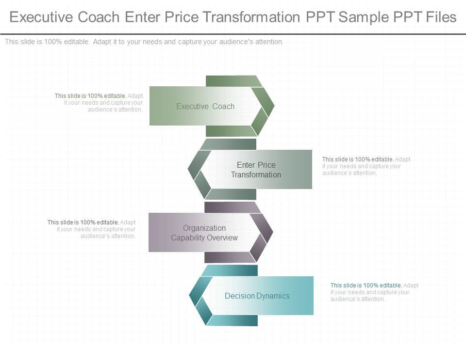 Executive_Coach_Enter_Price_Transformation_Ppt_Sample_Ppt_Files_1.jpg
