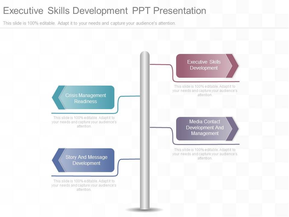Executive_Skills_Development_Ppt_Presentation_1.jpg