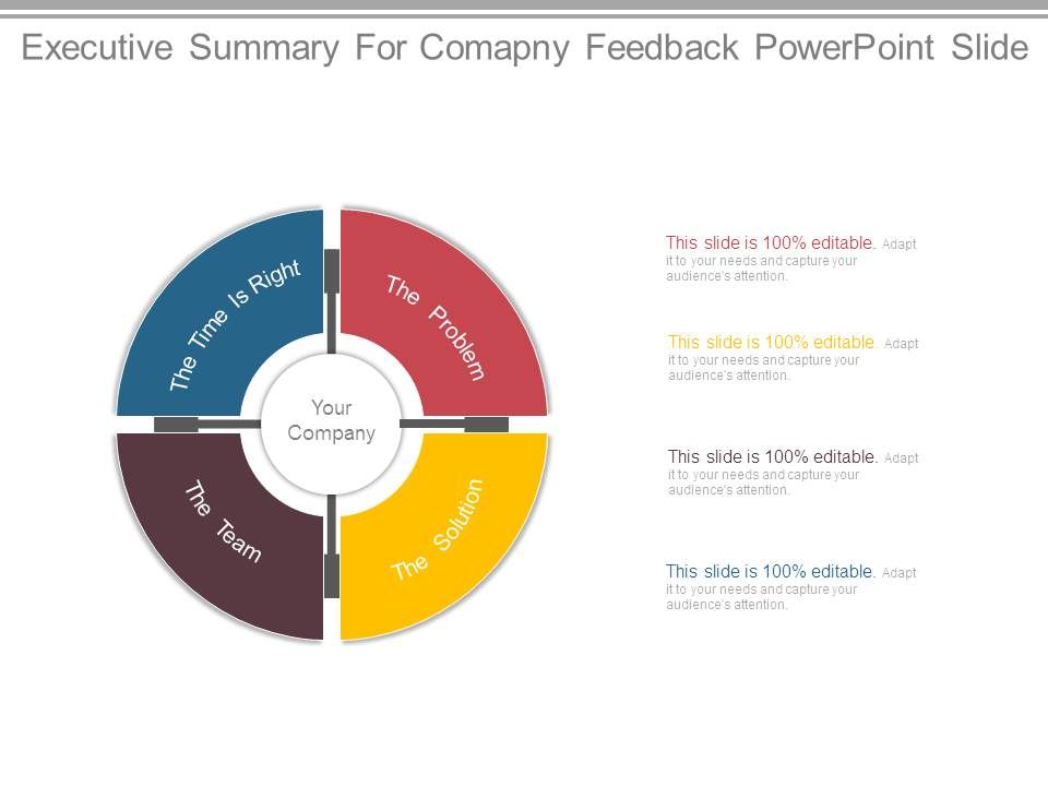 Executive_Summary_For_Comapny_Feedback_Powerpoint_Slide_1.jpg