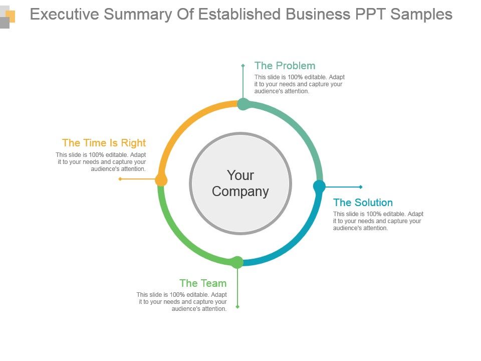Executive_Summary_Of_Established_Business_Ppt_Samples_1.jpg