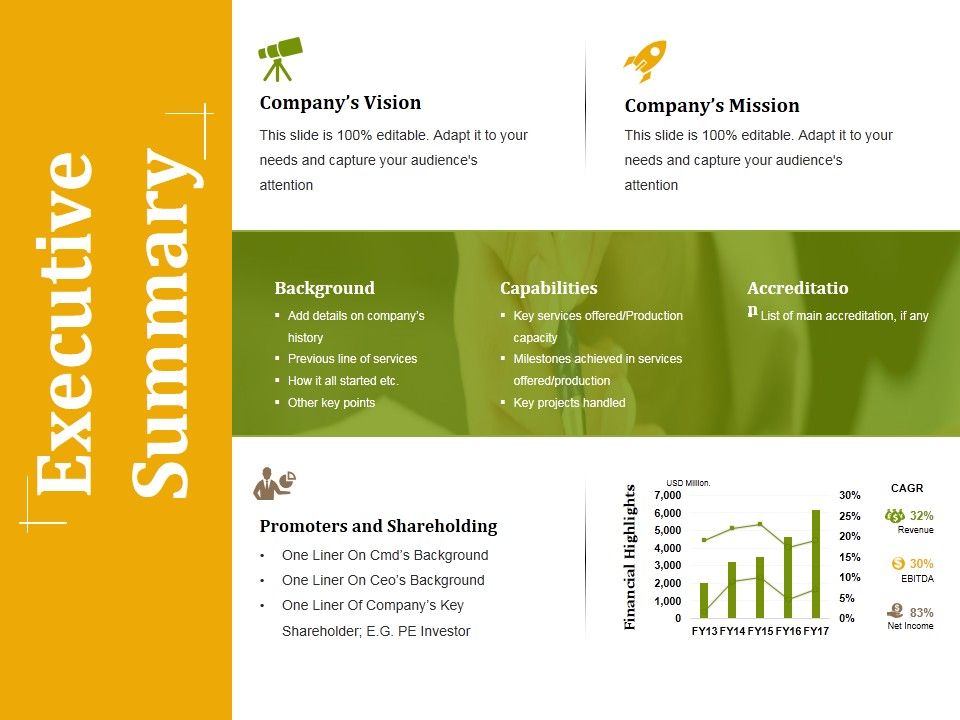 Executive_Summary_Ppt_PowerPoint_Presentation_Professional_Example_Slide_1.jpg