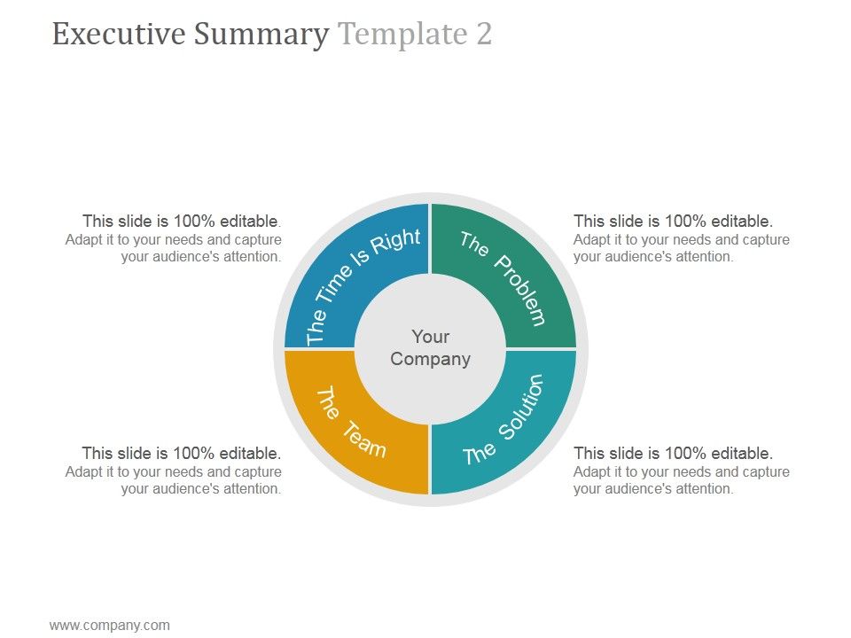 Executive_Summary_Template_2_Ppt_PowerPoint_Presentation_Files_Slide_1.jpg