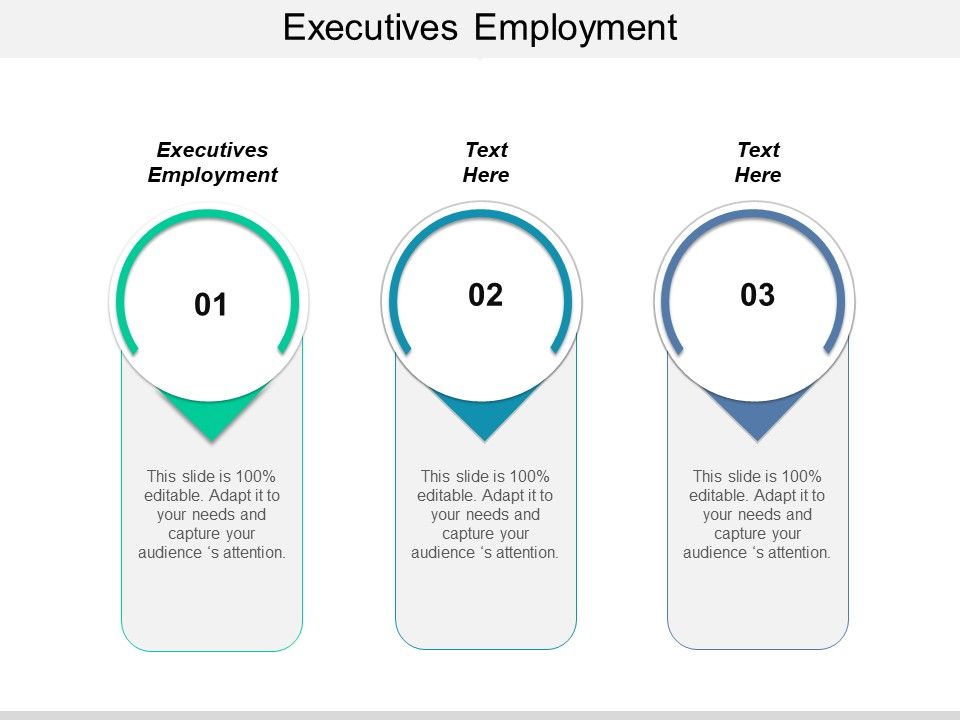 Executives_Employment_Ppt_PowerPoint_Presentation_Gallery_Rules_Slide_1.jpg