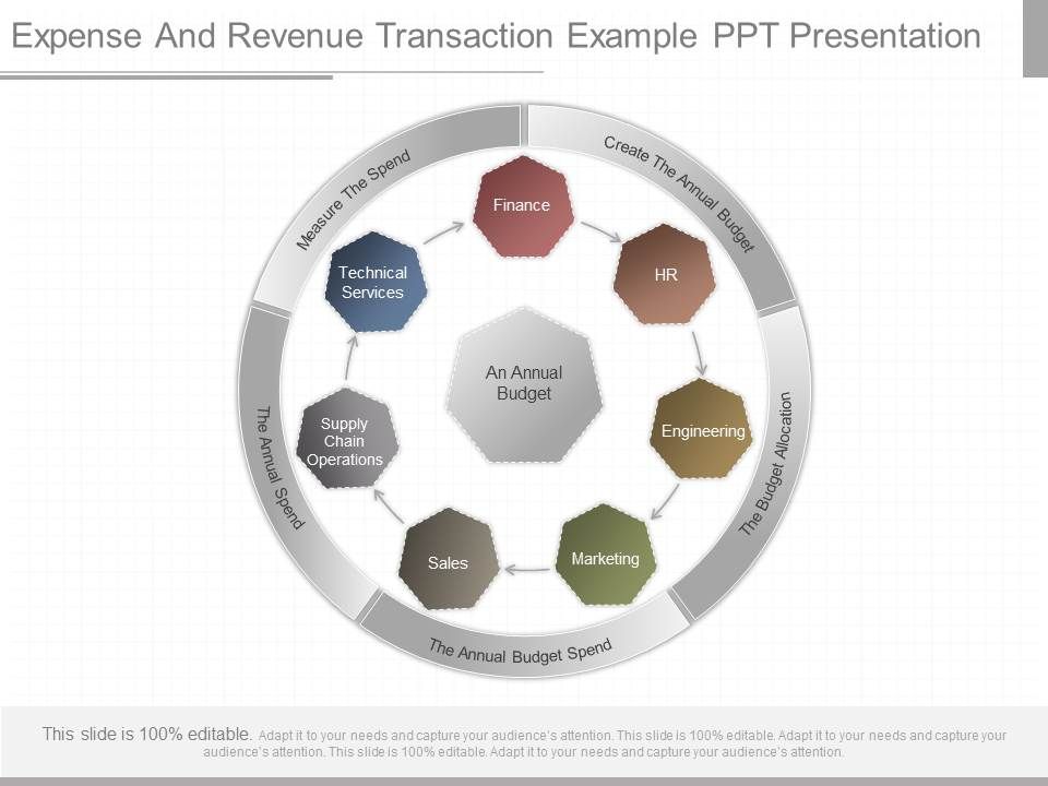 Expense_And_Revenue_Transaction_Example_Ppt_Presentation_1.jpg