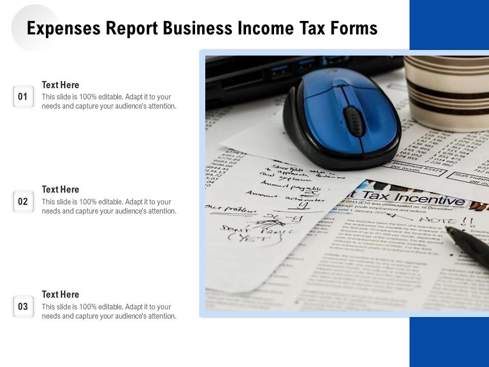 Expenses_Report_Business_Income_Tax_Forms_Ppt_PowerPoint_Presentation_File_Portfolio_PDF_Slide_1.jpg