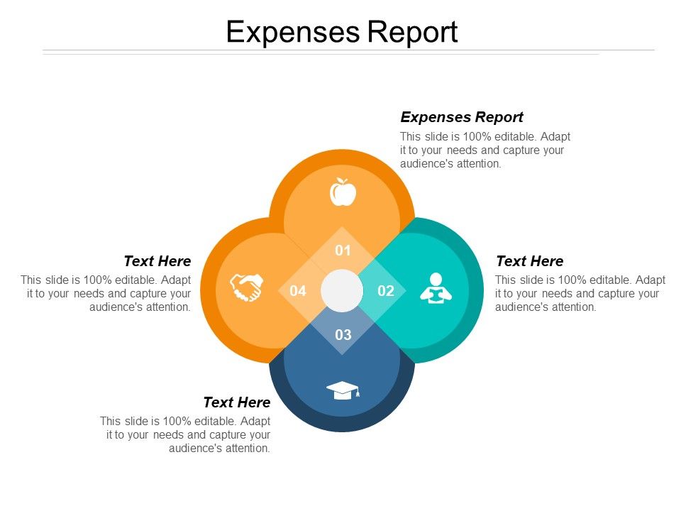 Expenses_Report_Ppt_PowerPoint_Presentation_Gallery_Microsoft_Slide_1.jpg