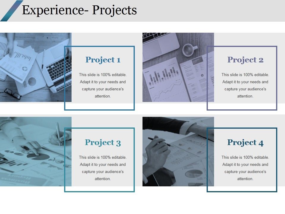 Experience_Projects_Ppt_PowerPoint_Presentation_Outline_Guide_Slide_1.jpg