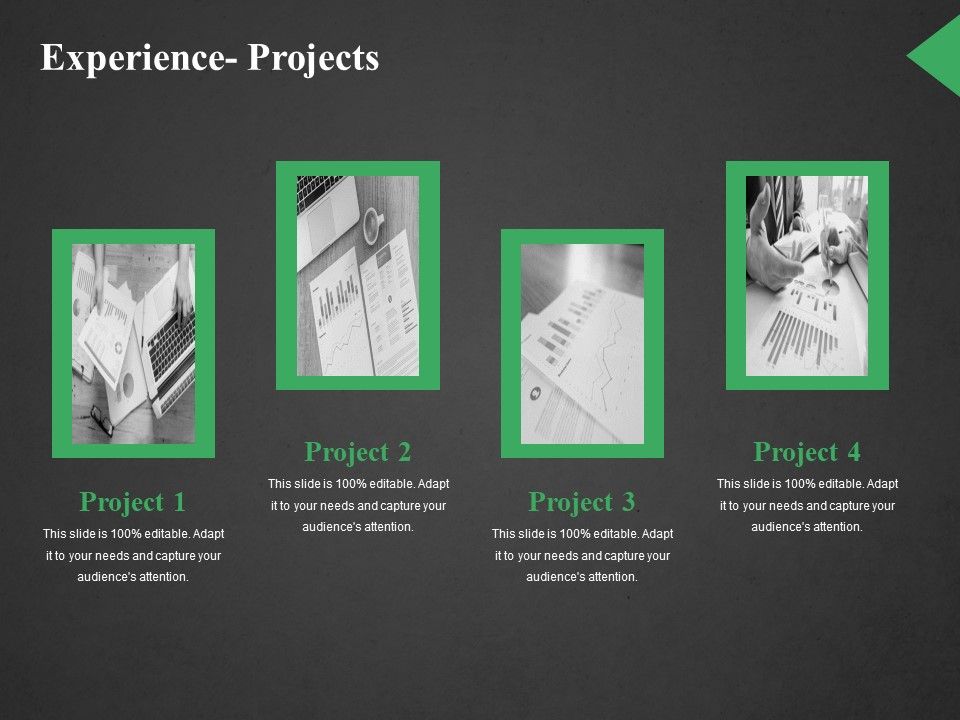 Experience_Projects_Ppt_PowerPoint_Presentation_Slides_Demonstration_Slide_1.jpg