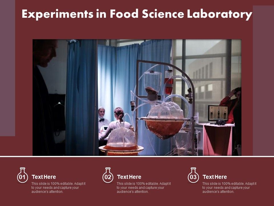 Experiments_In_Food_Science_Laboratory_Ppt_PowerPoint_Presentation_File_Portfolio_PDF_Slide_1.jpg