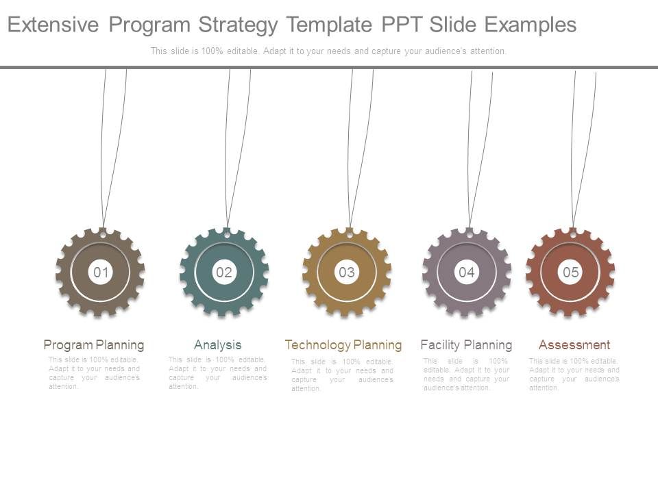 Extensive_Program_Strategy_Template_Ppt_Slide_Examples_1.jpg