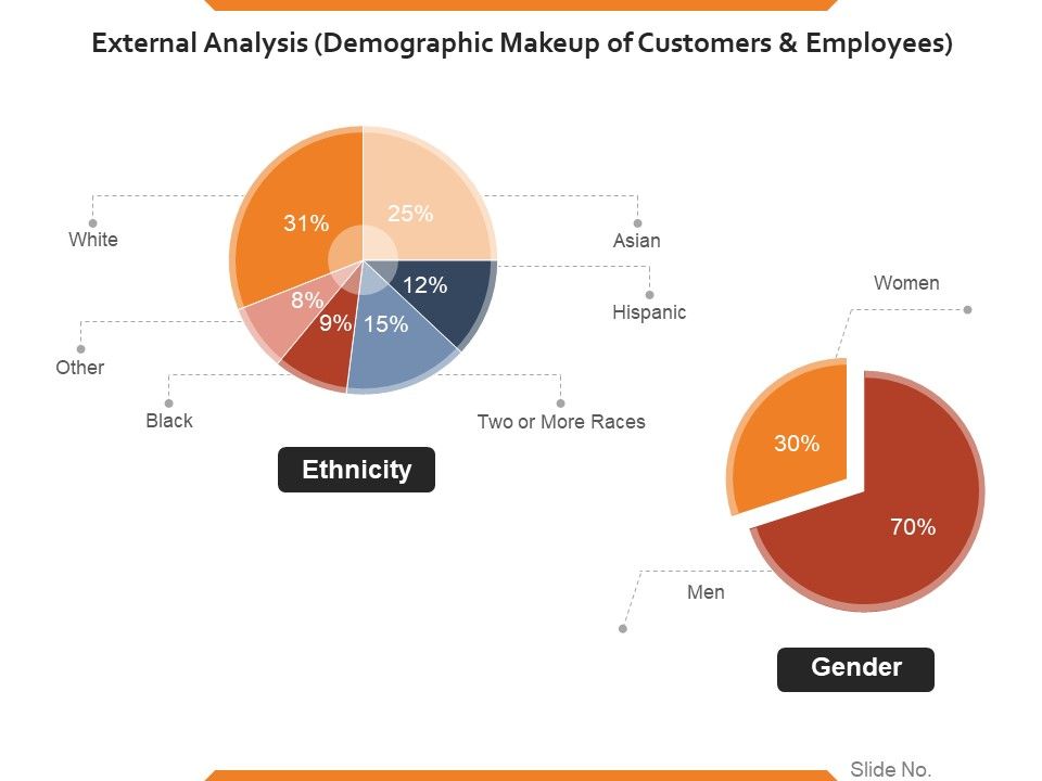External_Analysis_Demographic_Makeup_Of_Customers_And_Employees_Ppt_PowerPoint_Presentation_Slides_Example_Slide_1.jpg