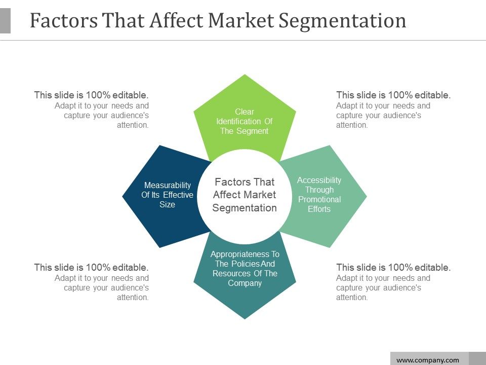 Factors_That_Affect_Market_Segmentation_Ppt_PowerPoint_Presentation_Good_Slide_1.jpg