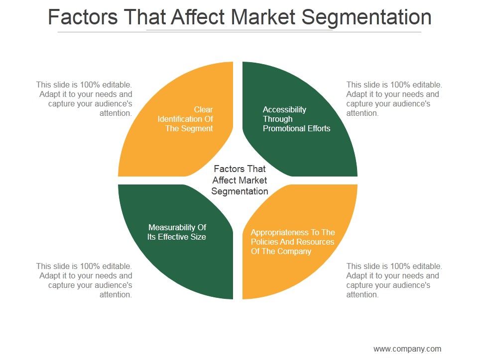 Factors_That_Affect_Market_Segmentation_Ppt_PowerPoint_Presentation_Graphics_Slide_1.jpg