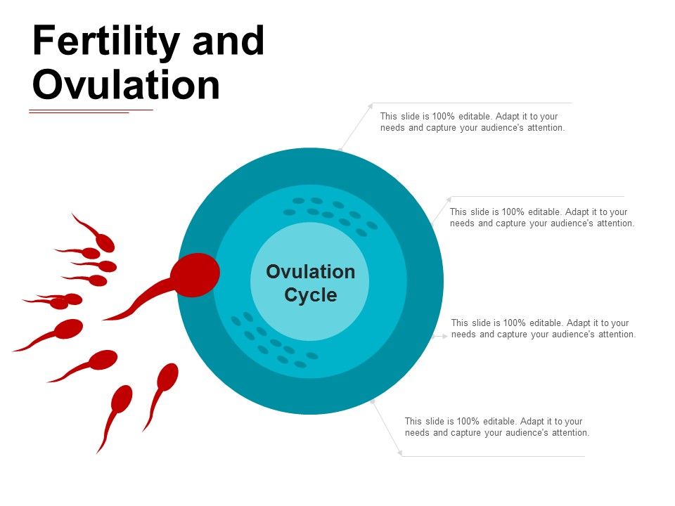 Fertility_And_Ovulation_Ppt_PowerPoint_Presentation_File_Example_File_Slide_1.jpg