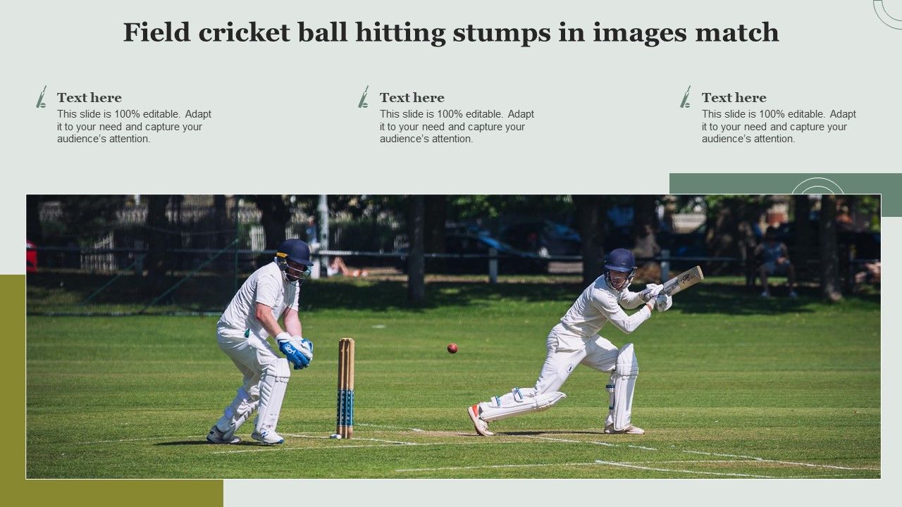Field_Cricket_Ball_Hitting_Stumps_In_Images_Match_Background_PDF_Slide_1.jpg