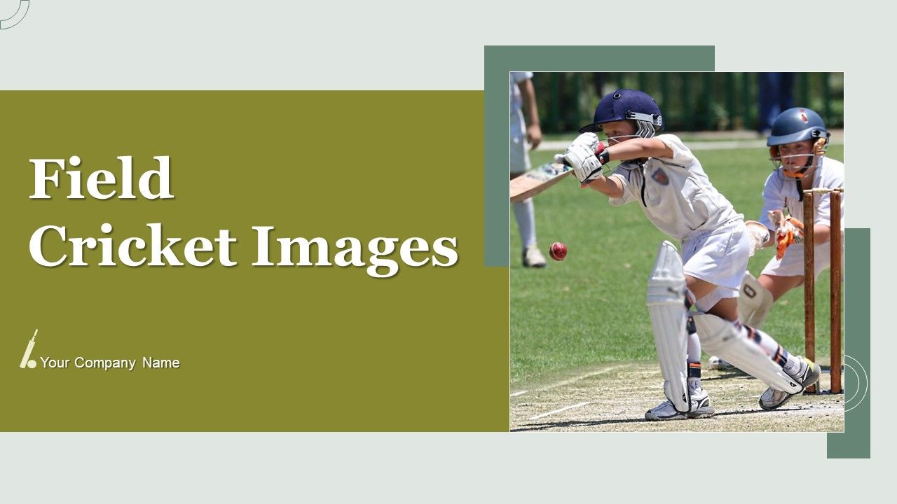 Field_Cricket_Images_Ppt_PowerPoint_Presentation_Complete_With_Slides_Slide_1.jpg