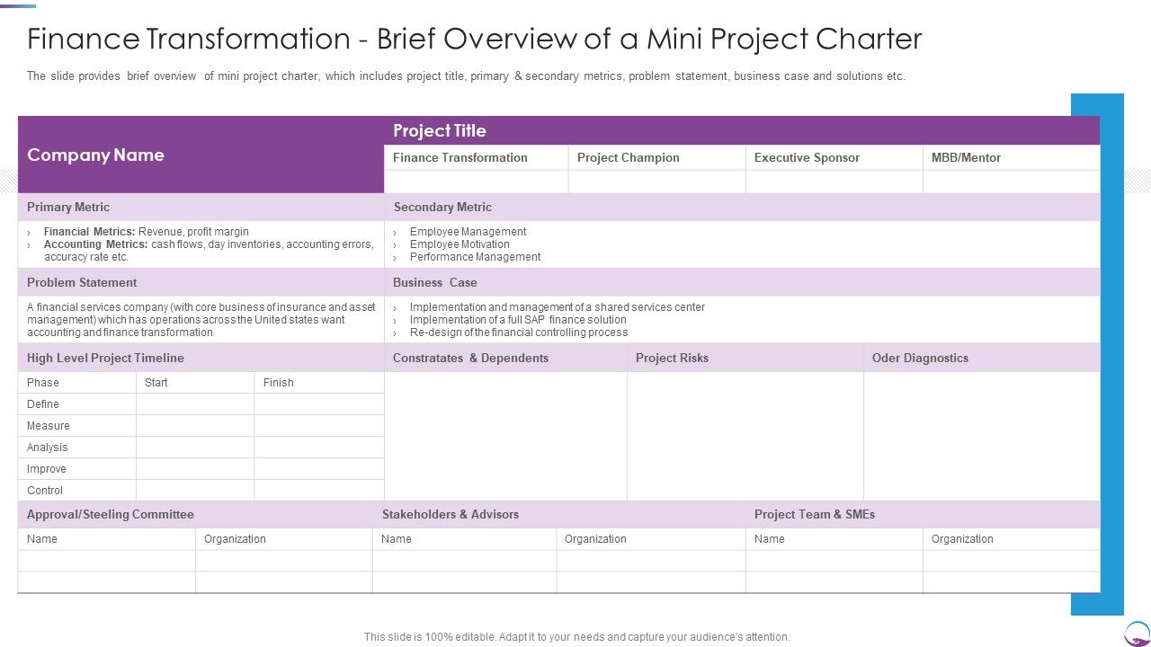 Finance_Transformation_Brief_Overview_Of_A_Mini_Project_Charter_Ideas_PDF_Slide_1.jpg