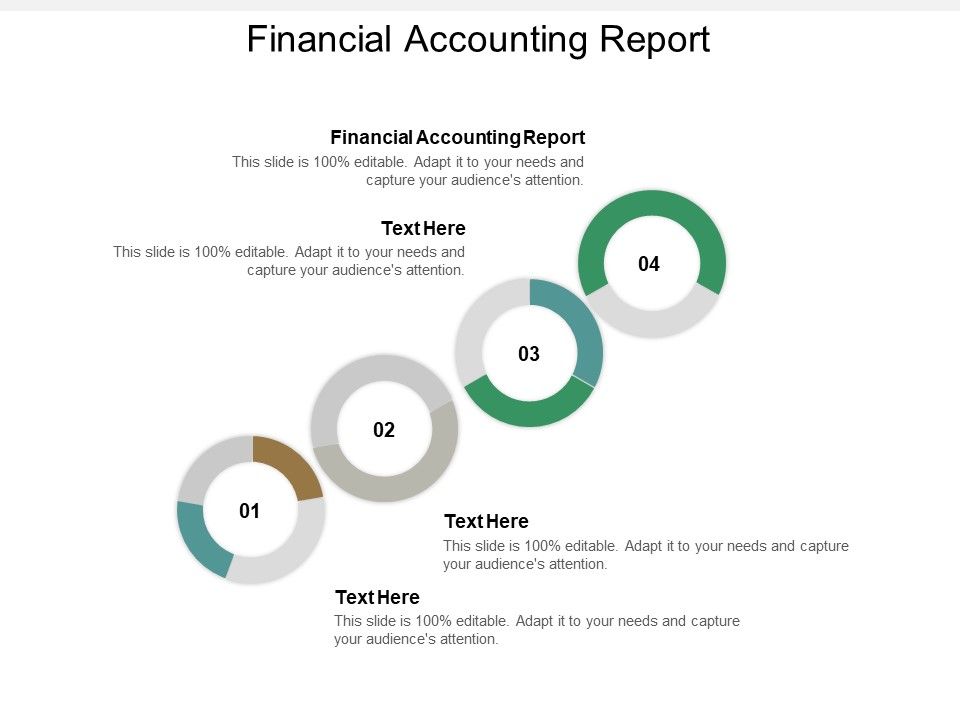 Financial_Accounting_Report_Ppt_PowerPoint_Presentation_Layouts_Outfit_Cpb_Slide_1.jpg