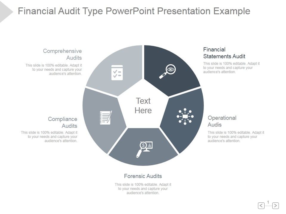 Financial_Audit_Type_Ppt_PowerPoint_Presentation_Rules_Slide_1.jpg