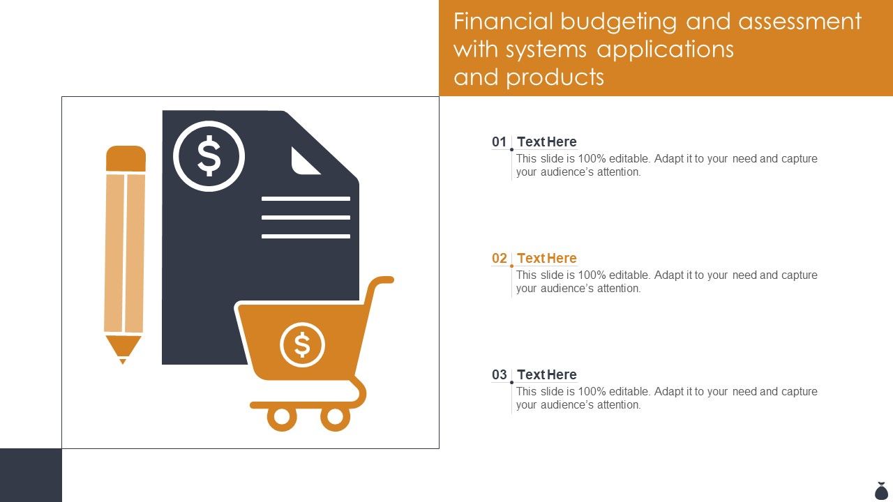 Financial_Budgeting_And_Assessment_With_Systems_Applications_And_Products_Slides_PDF_Slide_1.jpg