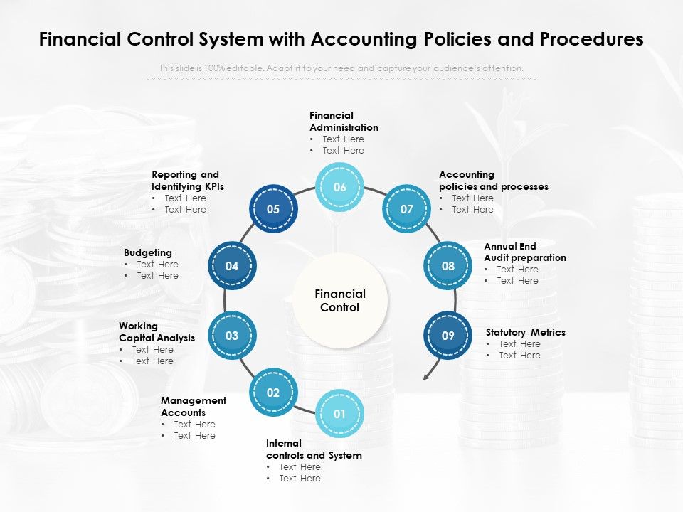 Financial_Control_System_With_Accounting_Policies_And_Procedures_Ppt_PowerPoint_Presentation_Summary_Ideas_PDF_Slide_1.jpg