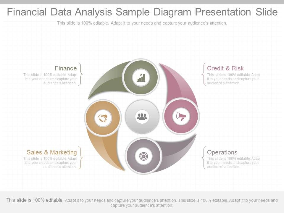Financial_Data_Analysis_Sample_Diagram_Presentation_Slide_1.jpg